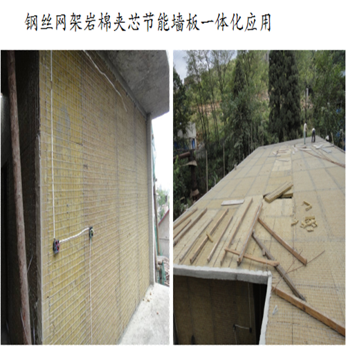 保温厂老厂区墙体车间、职工宿舍墙体及屋面2.png